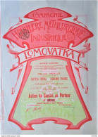 Compagnie Houillère Métallurgique & Industrielle De Lomovatka (1899 !!) - Russia