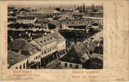 * T2/T3 1901 Lugos, Lugoj; Látkép, Grünberger Ede üzlete. Auspitz Adolf Kiadása / General View, Shops (EB) - Unclassified