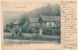 T2/T3 1907 Málnásfürdő, Baile Malnas; Fürdő, Nyaralók. Adler Fényirda / Spa, Villas (fl) - Unclassified