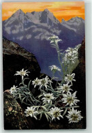 39414005 - Leontopodium Alpinum Alpenflora Serie 506 Nr.758 - Other & Unclassified