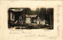 T2 1902 Bártfafürdő, Bardejovské Kúpele, Bardiov, Bardejov; Új Körúti Nyaralótelep. Salgó Mór Kiadása / Villas - Non Classés