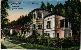 * T2/T3 1925 Bártfafürdő, Bardejovské Kúpele, Bardiov, Bardejov; Gizella Lak és Pavilon, Carola Villa / Villas - Ohne Zuordnung
