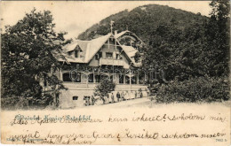 * T2/T3 1900 Kovácspatak, Kovacov; Otthon Villa / Villa, Spa (fa) - Unclassified