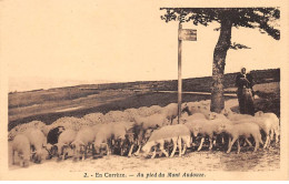 19.SAN58991.Corrèze.Au Pied Du Mont Audouze.Agriculture - Autres & Non Classés