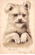 Animaux - N°85556 - Portrait D'un Chien - Dogs