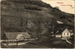 * T3 1914 Tiszolc, Tisovec; Csevice-forrás. Hortinsky F. Kiadása / Mineral Water Spring Source (r) - Unclassified