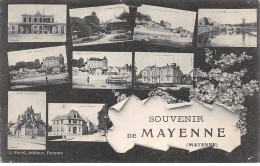 53-SAN59478-MAYENNE.Souvenir De Mayenne - Mayenne