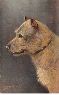Animaux - N°85571 - Chien - A. Muller - Hunde