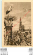 67.  STRASBOURG .  NID DE CIGOGNES . - Strasbourg