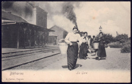 +++ CPA - BLEHARIES - La Gare - Carte Animée - 1906 // - Brunehaut