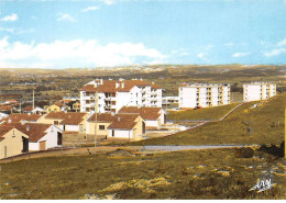 13 - SAN61464 - CHATEAUNEUF LES MARTIGUES - Le Grand Jas - Tardy - CPSM 10x15 Cm - Sonstige & Ohne Zuordnung