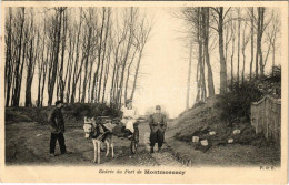 ** T2/T3 Montmorency, Entrée Du Fort De Montmorency / French Military (EK) - Ohne Zuordnung