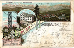 T3 1901 Hochblauen, Prächtiges Alpenpanorama, Der Blauen Mit Badenweiler, Aussichtsturm, Hotel Pension Hochblauen. Art N - Ohne Zuordnung