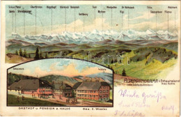 T2/T3 1907 Schauinsland Bad Schwarzwald, Alpenpanorama Vom Säntis Bis Ritzlihorn, Gasthaus U. Pension Z. Halde Bes. E. W - Ohne Zuordnung