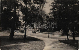 T2/T3 1911 Torino, Turin; Valentino / Park, Street, Tram (EK) - Ohne Zuordnung