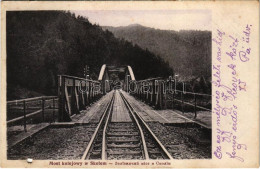 T4 1914 Skole, Most Kolejowy / Railway Bridge. Fot. R. Nowotny (b) - Zonder Classificatie