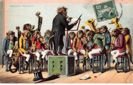 Animaux - N°86710 - Singes - Attention, Messieurs! - Orchestre - Singes Habillés - Monkeys