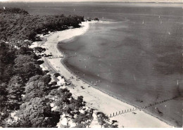 85 - SAN62185 - NOIRMOUTIER - Plage Des Sableaux - Combier - CPSM 10x15 Cm - Noirmoutier