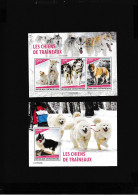 Central African Republic 2023 Sport Sled Dogs - Repubblica Centroafricana