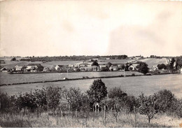 89 - SAN62336 - MISERY - Vue Générale - Collin - CPSM 10x15 Cm - Otros & Sin Clasificación