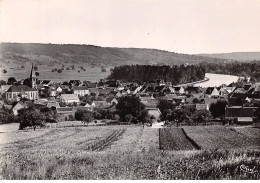 89 - SAN62345 - ARMEAU - Vue Générale - Combier - CPSM 10x15 Cm - Otros & Sin Clasificación