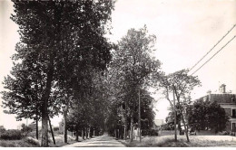 91 - SAN63216 - MAROLLES EN HUREPOIX - L'Avenue De La Gare - CPSM 14x9 Cm - Autres & Non Classés