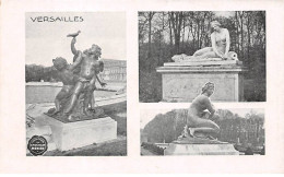 PUBLICITE - SAN65042 - Versailles - Collection Du Chocolat Menier - Publicité
