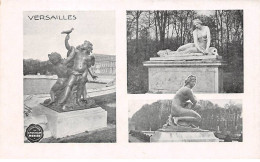 PUBLICITE - SAN65042 - Versailles - Collection Du Chocolat Menier - Publicidad