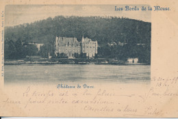 LES BORDS DE LA MEUSE.    CHATEAU DE DAVE                           ZIE AFBEELDINGEN - Namur