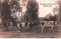 27 - BOUCHEVILLIERS - SAN66700 - Pâturage Sur Les Bords De L'Epte -Agriculture - Autres & Non Classés