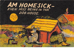 CHIENS - SAN65109 - Am Homesick - Even Miss Being In Tha Dog House - Hunde