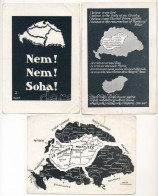 **, * 3 Db Régi Irredenta Propaganda Képeslap (Magyar Nemzeti Szövetség Kiadása); Vegyes Minőség / 3 Pre-1945 Hungarian  - Unclassified