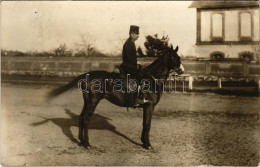 T2/T3 1915 Osztrák-magyar Lovas Katona / WWI Austro-Hungarian K.u.K. Military, Cavalryman. Photo (EK) - Unclassified