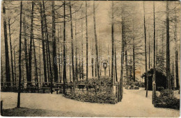 T3 Soldaten-Waldfriedhof In Bruneck. Eingeweiht Am 4. Juli 1915. / WWI Austro-Hungarian K.u.K. Military Cemetery In Brun - Unclassified
