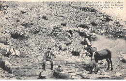 84 - LE MONT VENTOUX - SAN67495 - Halte De La Grave - Rendez Vous De Chasse - La Fontaine - Other & Unclassified