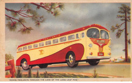 Automobile - N°89148 - Riding Trailways Through The Land Of The Long Leap Pine - Busse & Reisebusse