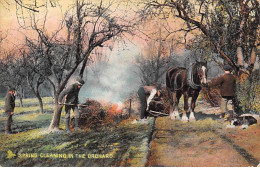 Agriculture - N°89156 - Spring Cleaning In The Orchard - Cultures