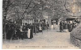 77 - FONTAINEBLEAU - SAN67391 - Forêt - Etablissement De La Grotte Aux Cristaux - Fontainebleau