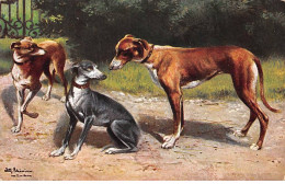 Animaux - N°90250 - Chien - Trois Lévriers - Dogs