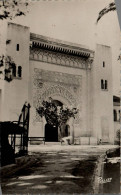 N°912 W -cpsm Alger -parc De Galland- - Algiers