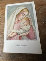 Mater Salvatoris Werzinger Ars Scacra 11116 - Andachtsbilder