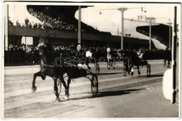 * T3 Ügető Lóverseny. Tószegi Ferenc Emlékverseny. Hajtó Id. Vári / Hungarian Horse Race, Harness Racing. Photo (EB) - Non Classificati