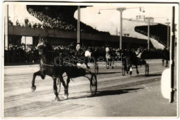 * T3 Ügető Lóverseny. Tószegi Ferenc Emlékverseny. Hajtó Id. Vári / Hungarian Horse Race, Harness Racing. Photo (EB) - Unclassified