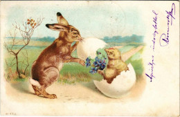 T2/T3 1900 Húsvéti üdvözlet / Easter Greeting Art Postcard With Rabbit And Chicken. Litho (fl) - Non Classificati