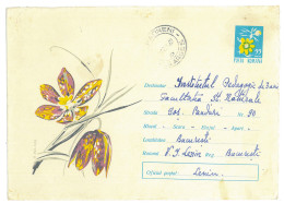 IP 65 A - 0197 FLOWERS, Romania - Stationery - Used - 1965 - Ganzsachen