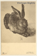 Albrecht Dürer: Young Hare / Rabbit (Vintage Artist PC 1908) - Altri & Non Classificati