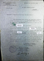 WW2 – 1944 BUCAREST - ISTANBUL - DOCUMENTO MILITARE - S6936 - Dokumente
