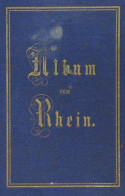 Leporello Album Vom Rhein, 12 Versch. Städte 1874-1877 II - Unclassified