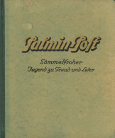 Sammelbild-Album Palmin-Post Sammelfroher Jugend Zu Freud Und Lehr Um 1930, Komplett Mit 300 Sammelbildern Versch. Serie - Sonstige & Ohne Zuordnung