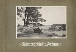 Sammelbild-Album Unvergeßliche Heimat VonGreiling-Bilderstelle Lensahn 1951, Greiling Sammelbilder Serie B, Komplett Mit - Other & Unclassified